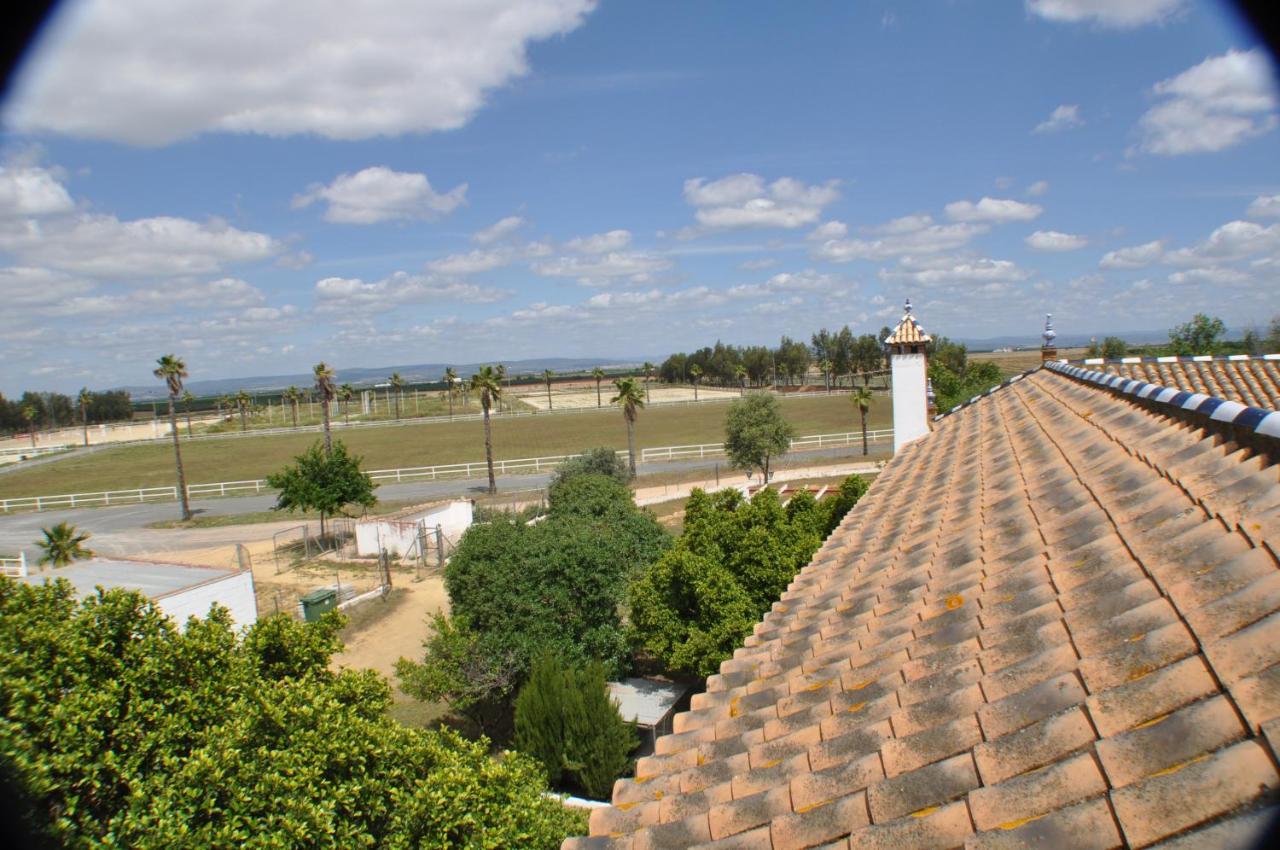 Cortijo La Amazona Villa Seville Luaran gambar